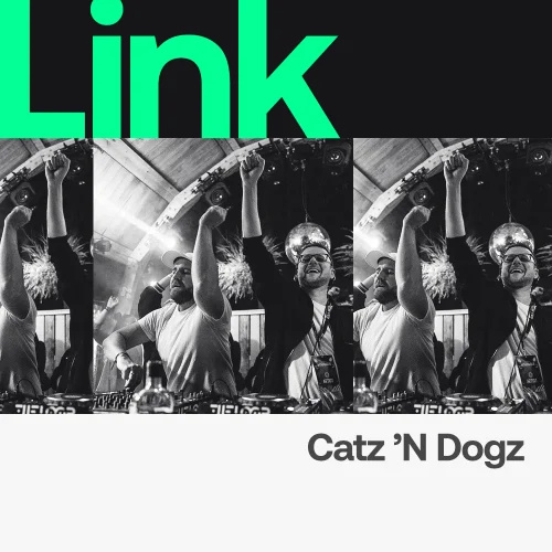 LINK Artist  Catz 'n Dogz - Reach Chart